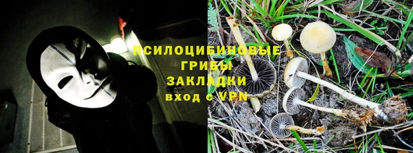 молекула духа Алексин