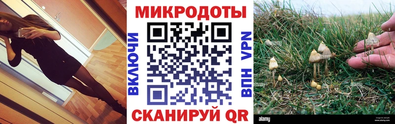 Галлюциногенные грибы Psilocybine cubensis  наркотики  OMG рабочий сайт  Электрогорск 