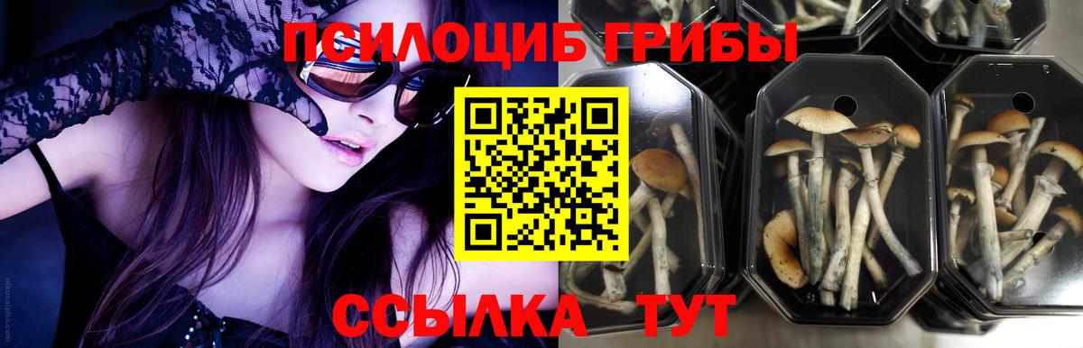 Alpha PVP СОЛЬ   ГАШИШ  МАРИХУАНА  Меф кристаллы  Электрогорск  ГАШИШ  Вход с VPN  LSD-25 